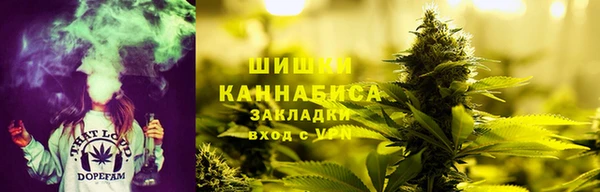 соль ск Алексеевка