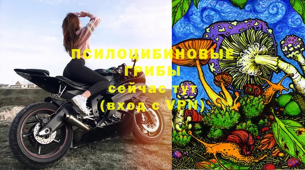 крисы Армянск