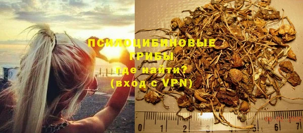крисы Армянск
