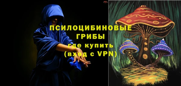 крисы Армянск