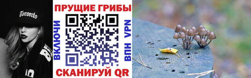 где купить наркоту  Осинники  Галлюциногенные грибы мицелий 